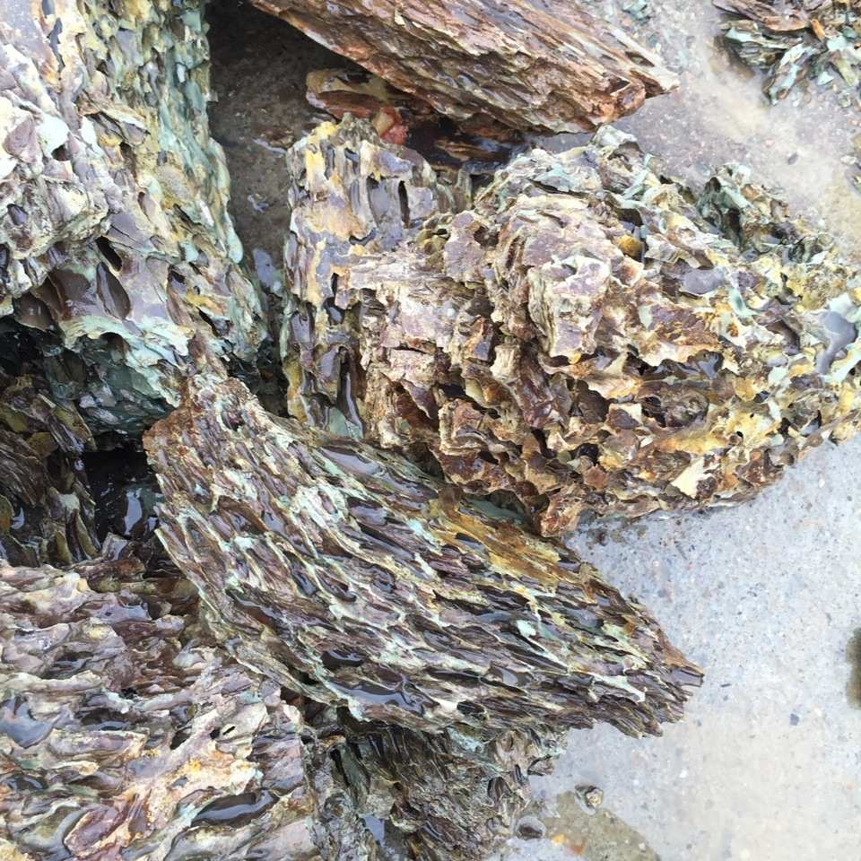 水族松皮石造景精品松皮石 盆景龙骨石 价格优惠松皮石石材