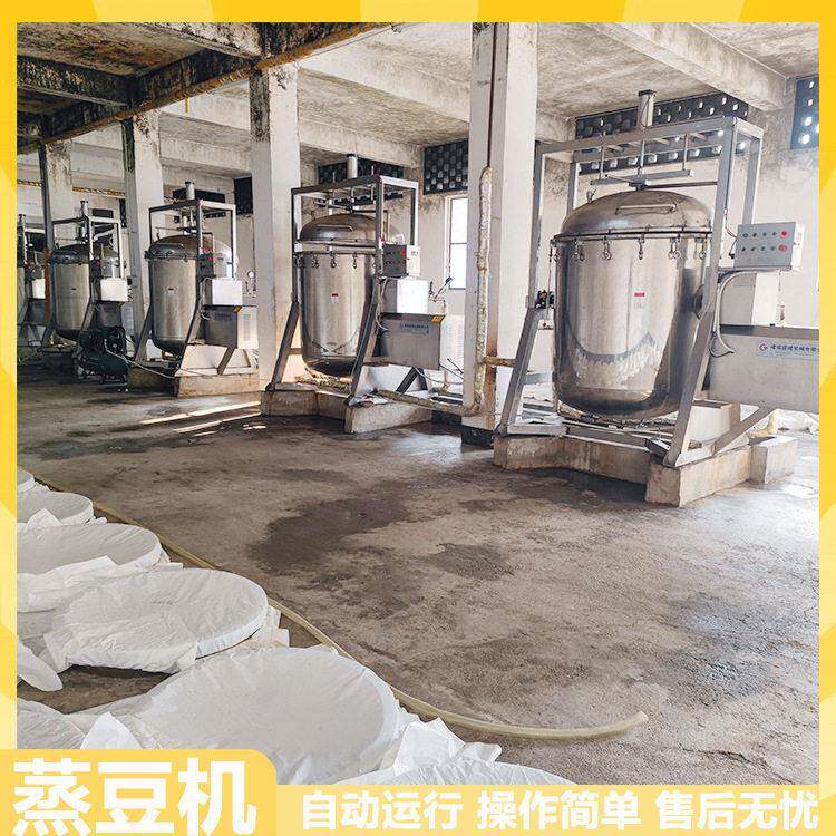 鼎旺蚕豆芸豆蒸煮设备酿醋粮食蒸煮锅蒸汽加热黄豆发酵豆类蒸豆机