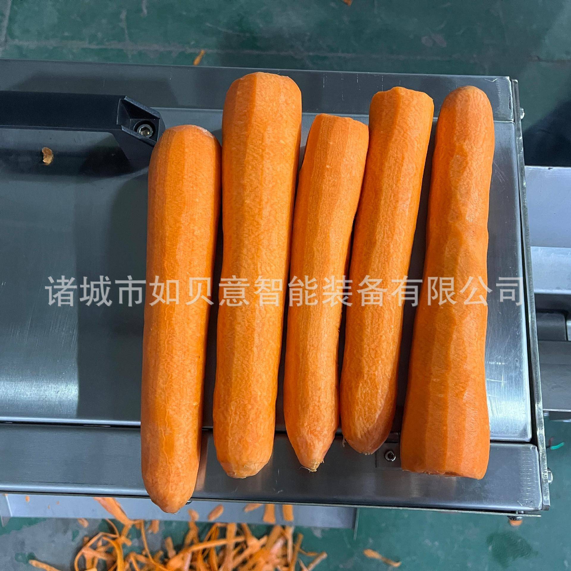 定制胡萝卜削皮机商用 中央厨房净菜设备 红白萝卜快速去皮机