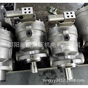 80PCY14 1ED邵阳维克液压SY 1ED柱塞泵参数图63PCY14 80SCY14