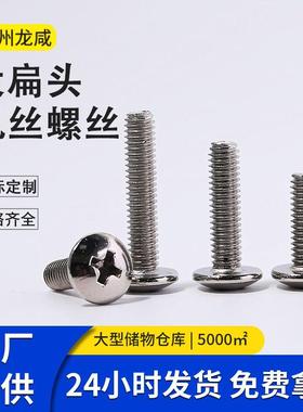 镀镍TM十字大扁头机丝螺丝大扁机圆头伞头小螺丝M3-M8