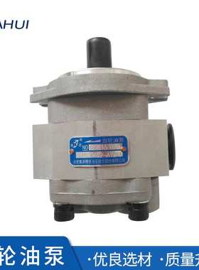 叉车配件  叉车液压齿轮油泵 7吨龙工柳工叉车齿轮泵CBKA-G425