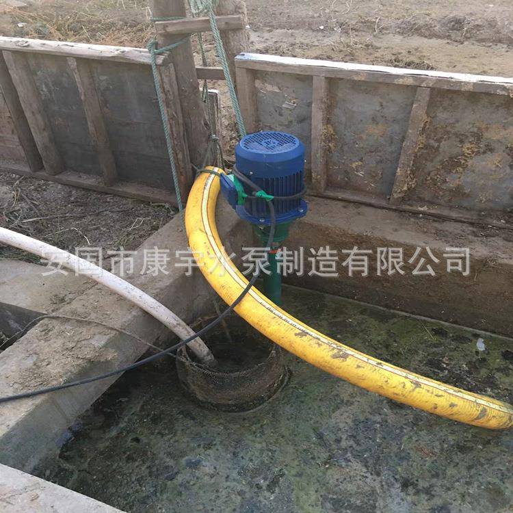 立式泥浆泵污水泵抽粪抽泥沙220V切割式化粪池养殖场380V三相清淤