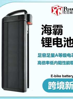 工厂直销电动车Fiido锂电池海霸48V20AH30AH电摩电单车电池高容量