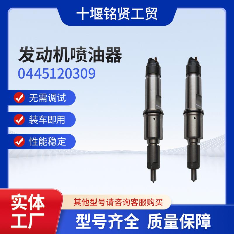 0445120309共轨喷油器总成适用东风天龙290马力发动机高压油泵