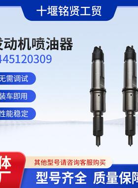 0445120309共轨喷油器总成适用东风天龙290马力发动机高压油泵