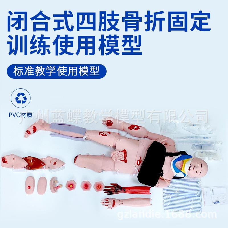 闭合式四肢骨折固定训练模型 带颈托创伤护理脊柱损伤搬运模拟人