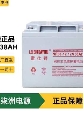雷仕顿蓄电池NP38-12 直流屏 12v38AH UPS不间断电源 蓄电池