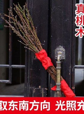 桃树枝镇宅东南事业招财摆件树枝枝条失眠乔迁客厅惊吓野