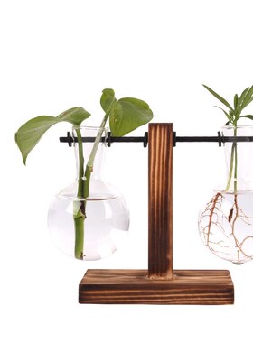 Hydroponic Plant Terrarium Vasevase Decoration Home Glass Bo