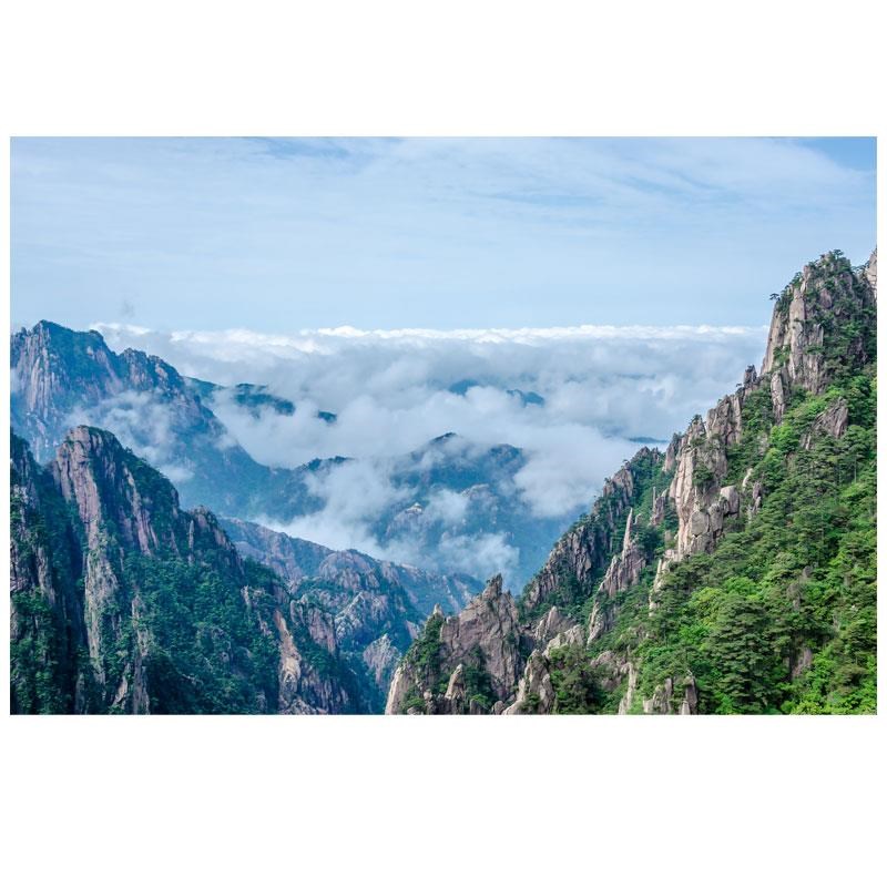 有山无水靠山图客厅装饰画招财风水画自粘壁画墙画办公室客厅墙贴