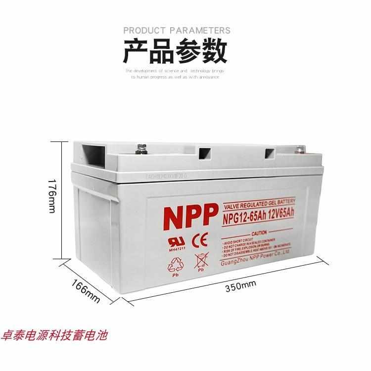 NPP 耐普蓄电池 12V65AH 太阳能免维护蓄电池NPG12-65 UPS电源