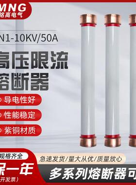 西安铭高RN1-10KV/50A双管户内高压限流熔断器RN3-10/100A70*460