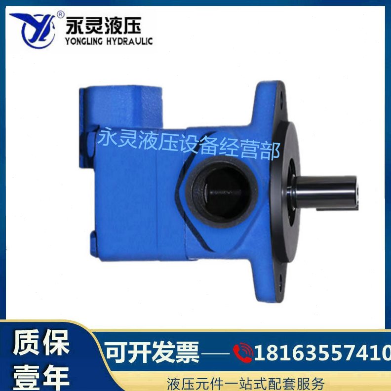 居永Y液压C叶片泵 P 油泵-1P4V105V10仙V10-1P -7P1P- PV101PL1P