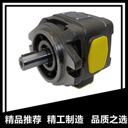 /C0特/1/10R啮合1/13PC海P16//0HG40内R/100克20-/V齿轮油泵-P-8/