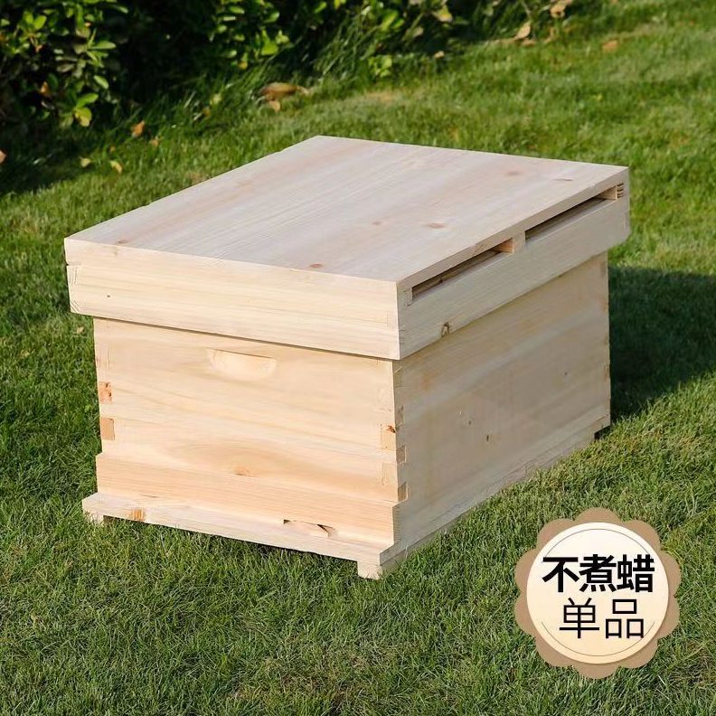 十箱新手杉带框标准标准蜡蜜蜂中养蜂工具木巢础煮蜂箱框型全套