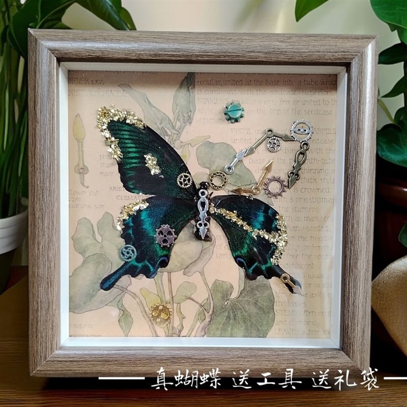 机械蝴蝶材料包朋克真标本相框手工男女圣诞礼物闺蜜展示diy摆件