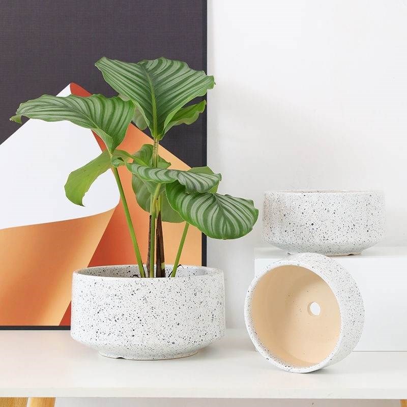 蝴蝶兰专用花盆陶瓷特大号30口径以上的绿植多肉发财树君子兰绿萝