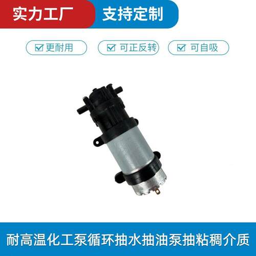12V24V微型齿轮泵抽油泵灌装机水泵糖浆泵果糖机泵炒菜机油泵