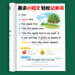 艾宾浩斯 小学英语每日晨读美文短文零基础阅读记单词英语记背汇总表三四五六年级上下册词汇短语句型速记手册记忆本背诵大全神器