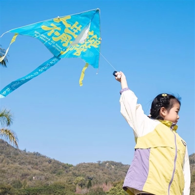 显眼包风筝这个b班不上也罢纯牛马风筝成人解压玩具公园聚会野餐