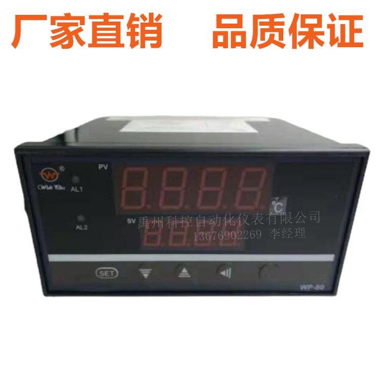 WP-D816-81-08-HL/WP-D809-02-23-H上润多路巡检仪温度巡检仪