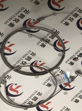 WZPK2-238PT100双支铠装热电阻WZPK-266WZPK-526S