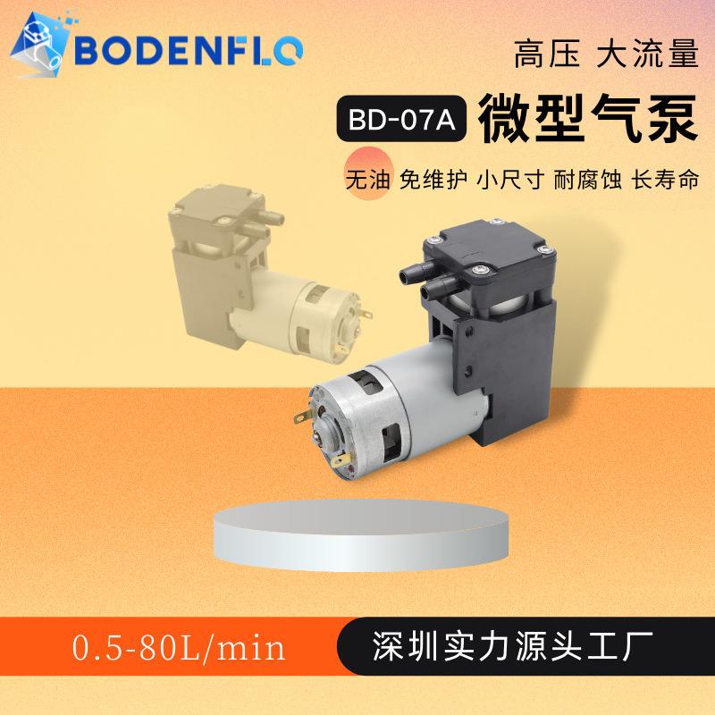 供应微型气泵单缸充气活塞泵汽车打气12V空气压缩小型往复泵