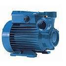 calpeda水泵进口水泵科沛达意大利原装CT61/CTM61