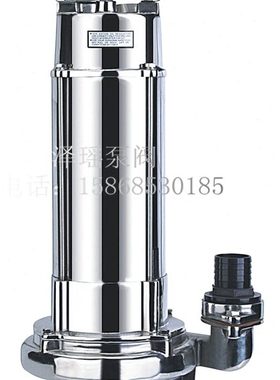 220250V潜水泵化工55潜污泵0//75/排污泵00150耐腐蚀不锈钢300N/4