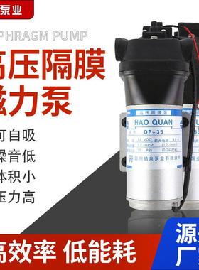 DP系列微型隔膜泵自吸增压水泵无刷电机噪音低自动家用洗车抽水泵