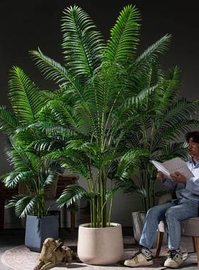 大型高端凤尾葵凤尾竹散尾葵仿真假树室内仿生绿植物盆栽装饰摆件