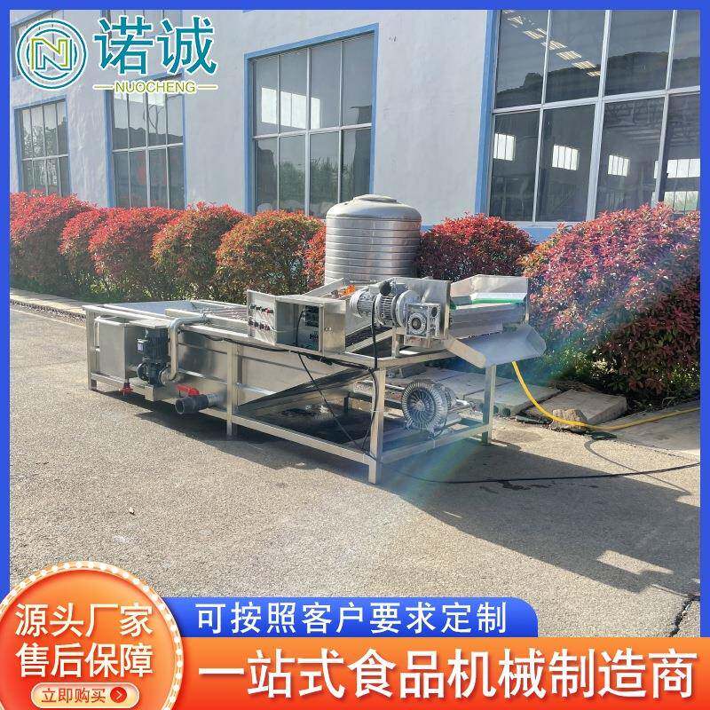 学校幼儿园净菜加工设备芥菜上海青酸青菜去泥气泡清洗机
