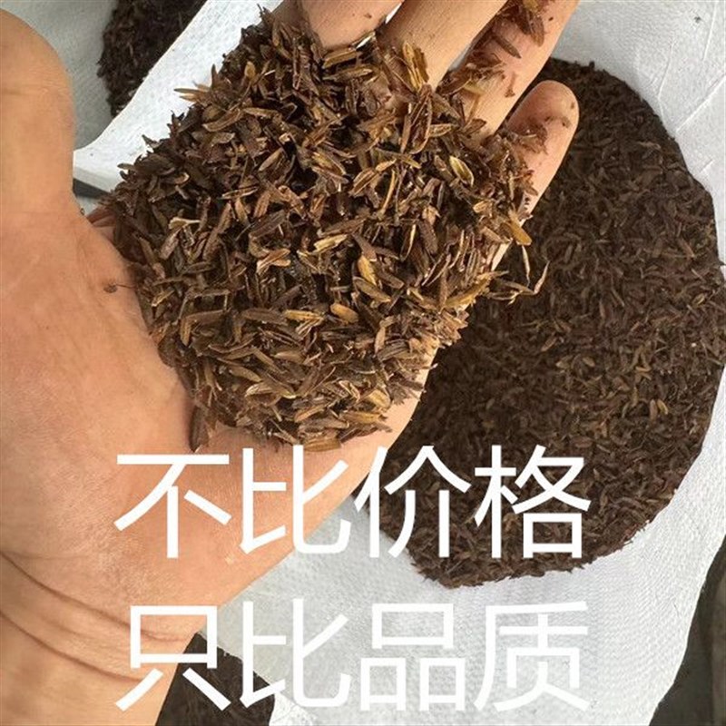 发酵腐熟稻壳盆栽疏松透气配土改良土质植物花卉专通用月季营养土
