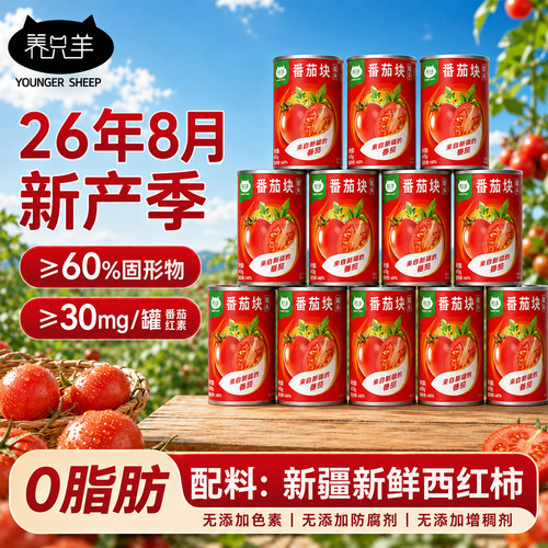 26款番茄块新疆新鲜番茄丁罐头