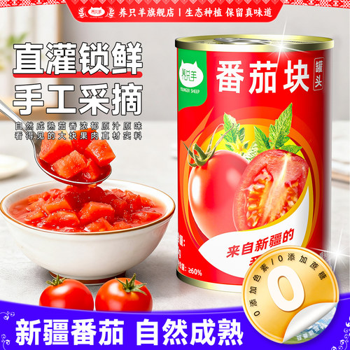 新疆番茄罐｜地道新疆｜厨房常备
