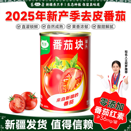 25款番茄块新疆新鲜番茄丁罐头
