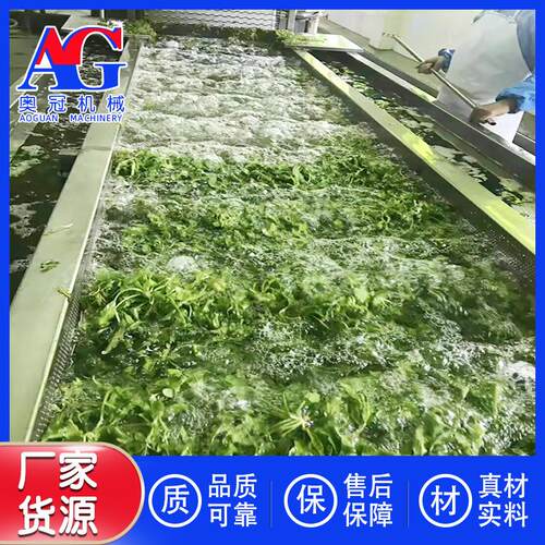 秋季冬季深加工蔬菜用流水线 速冻冰激凌红薯整套设备 气泡清洗机