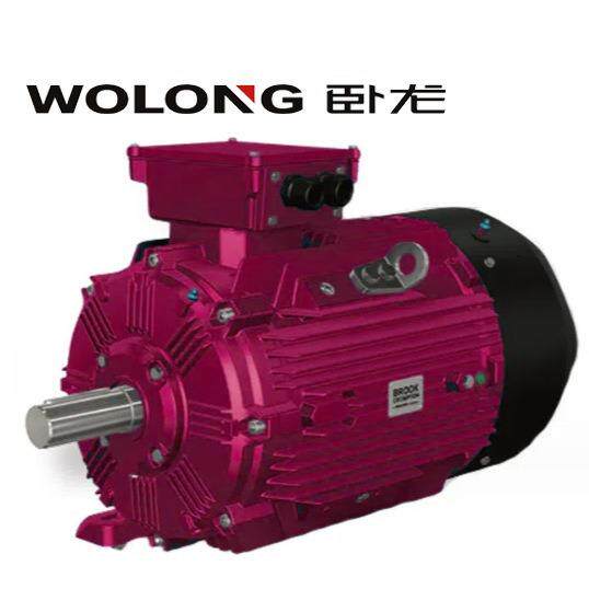 卧龙WEX3出口防爆电机0.37KW-200KW/电压异电压Class I 防爆标准