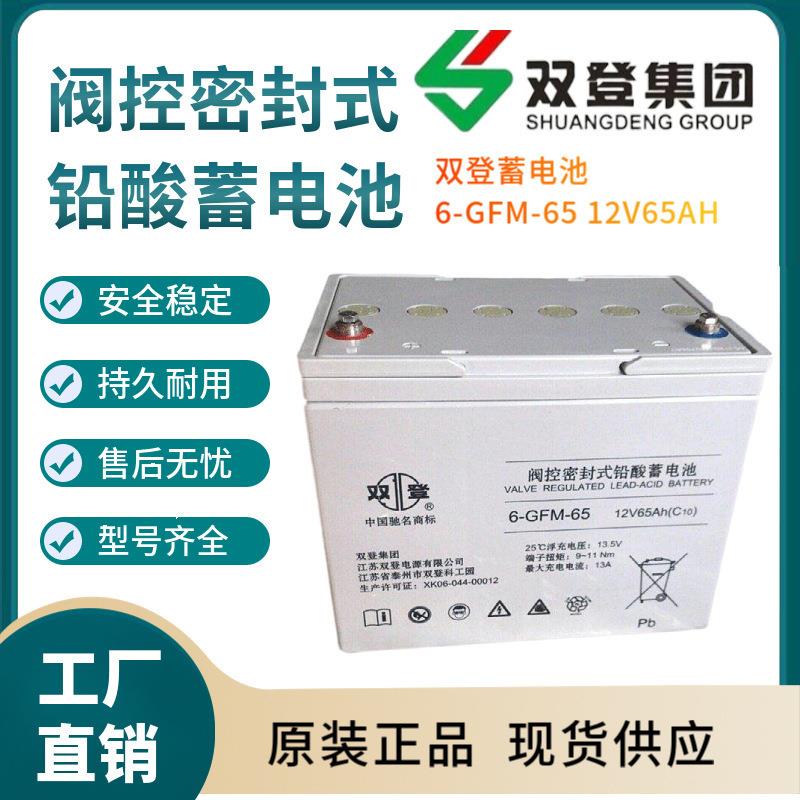 双登蓄电池6-GFM-65 12V6H 开关控制 参数规格 参数供应三年
