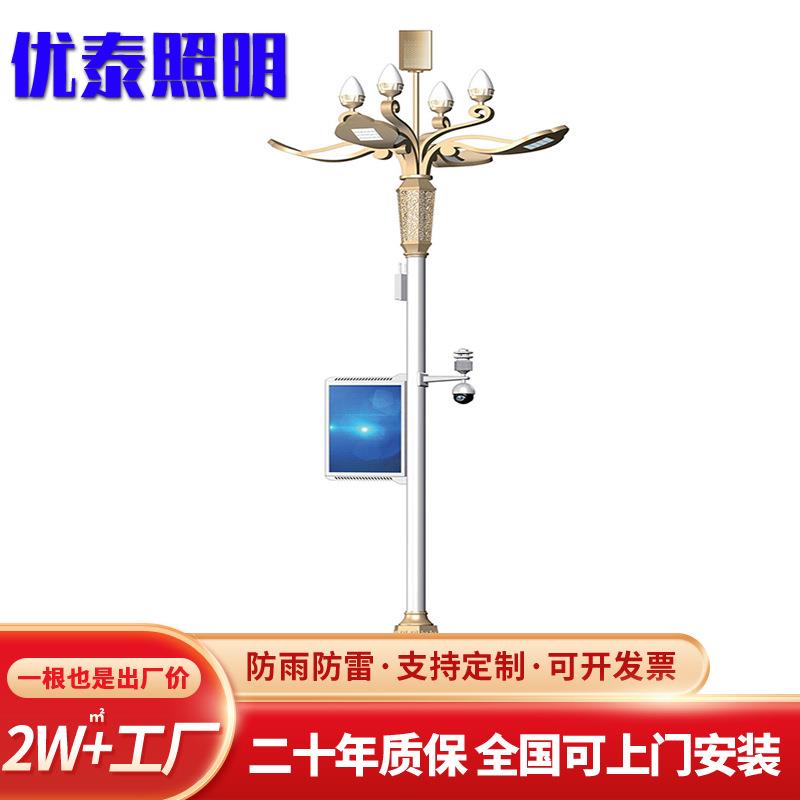 8叉9火广场中华灯厂家直供6米8米10米广场公园景观灯LED户外灯