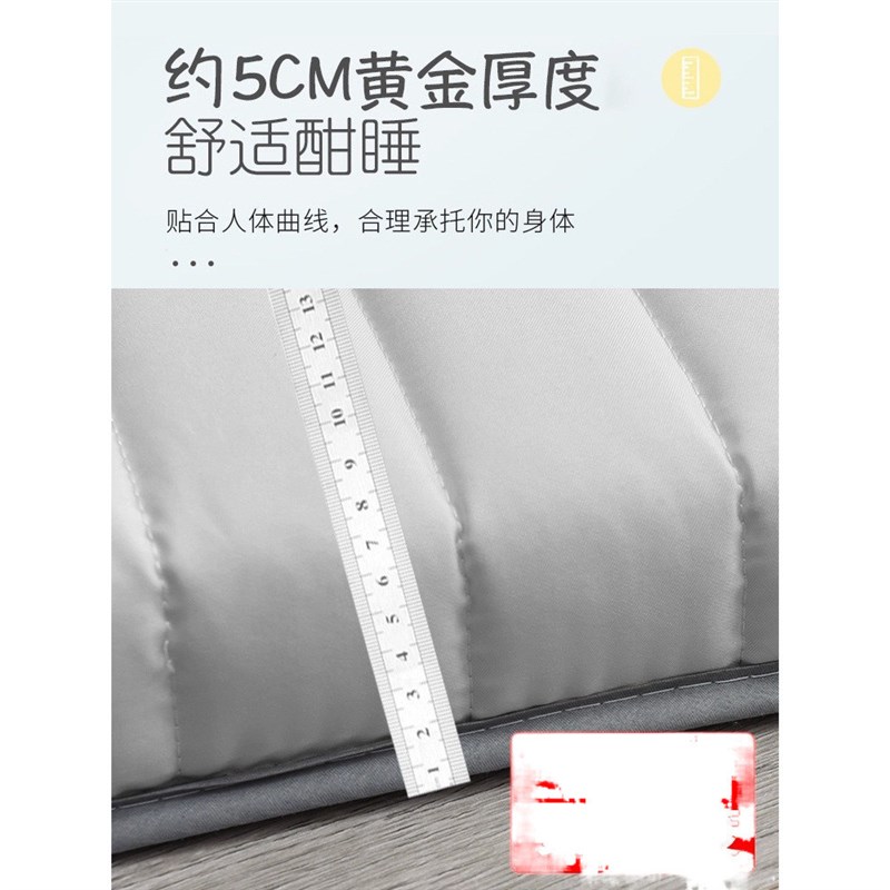 家用秋垫褥子睡学生宿舍被新款打地铺海绵垫床垫榻榻米垫软垫式单