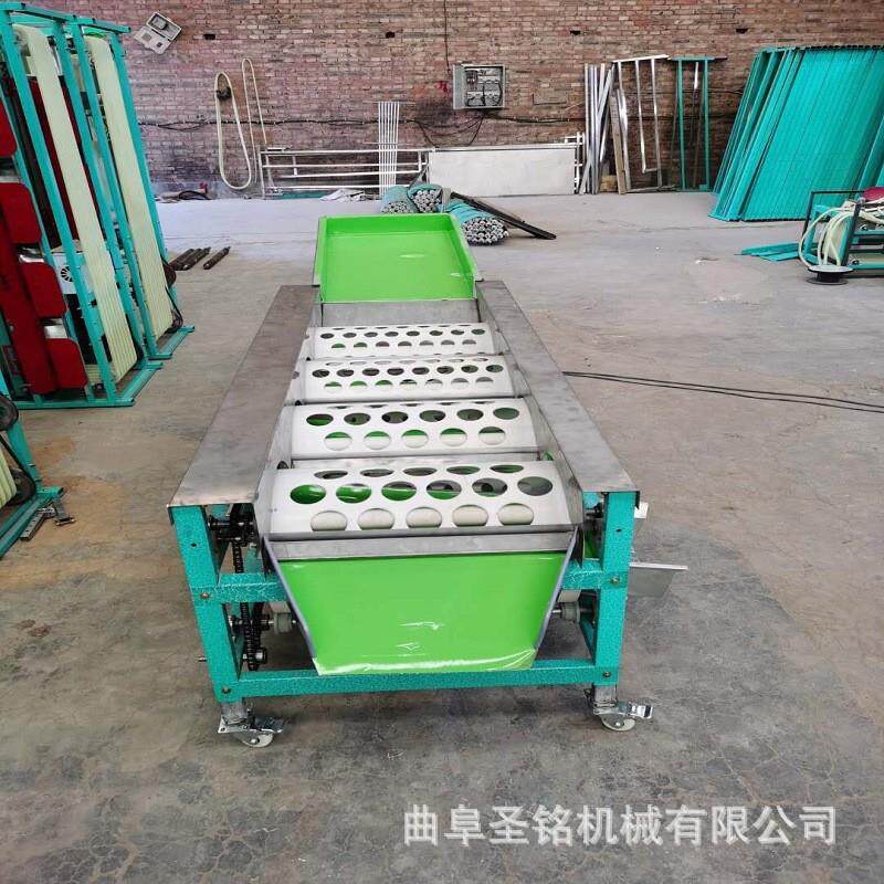 不商用选果伤机 滚筒式茶枝柑贡果蔬加工设备