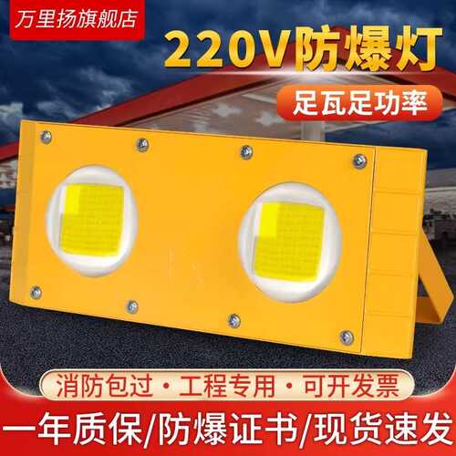 隧道灯led防爆灯仓库户外灯100W加油站船用低压24V12v36V投光灯