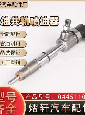 0445110694共轨喷油器电喷喷油嘴总成0 445 110 694适用于沃尔夫