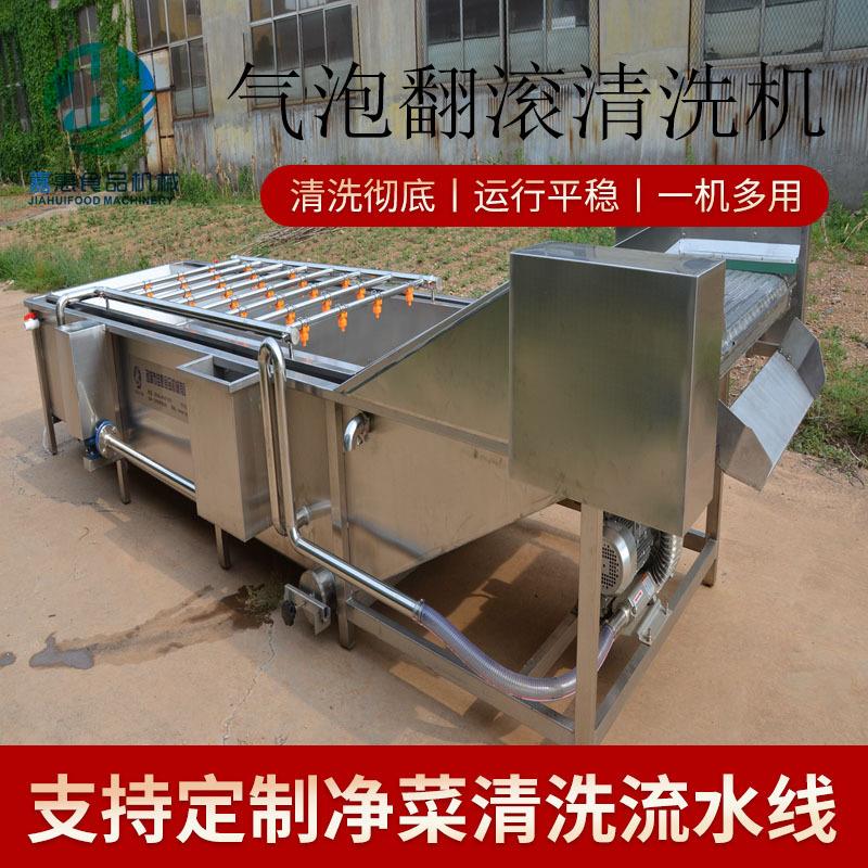 气泡翻滚清洗机不锈钢气泡蔬菜清洗设备全自动油桃气泡清洗机