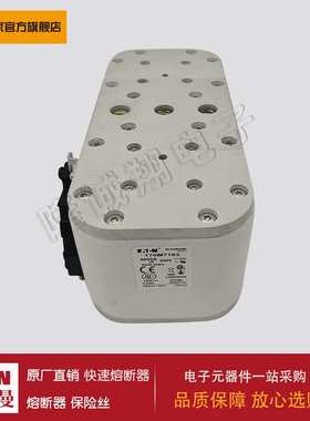 熔断器170M7162 170M7163 170M7164 170M7165 170M7166 170M7167