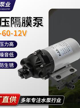 厂家现货供应水泵微型隔膜泵DP-60微型隔膜泵高压自吸