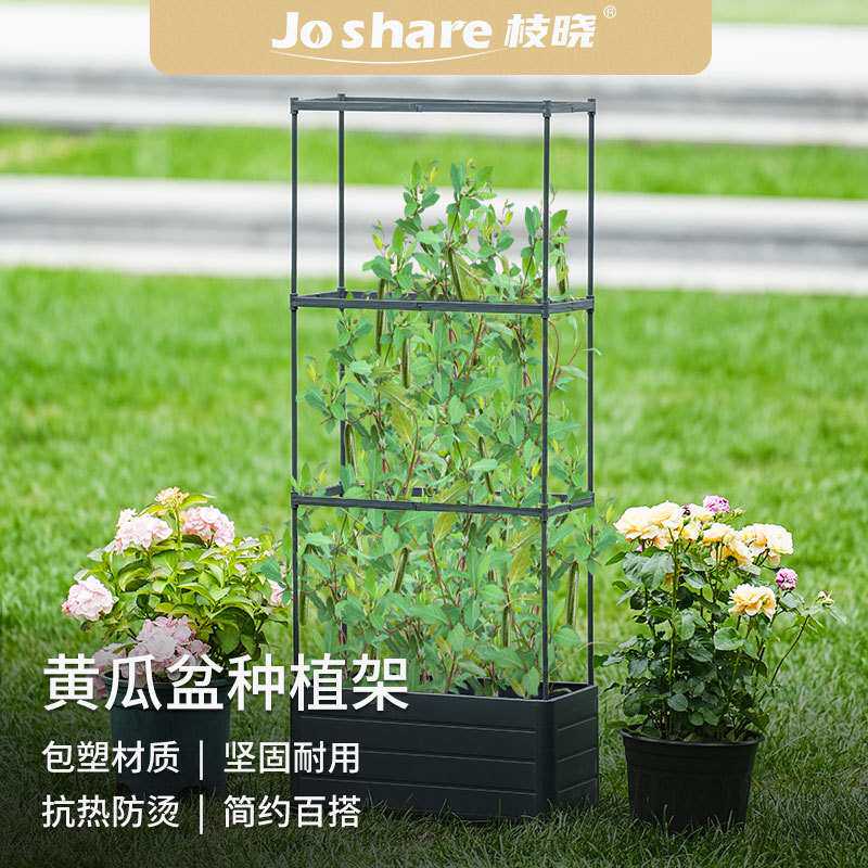 枝晓黄瓜种植盆套装花园植物爬藤花盆植物系带攀岩户外园艺跨境