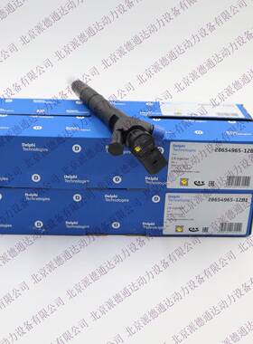 德尔福 28654965 28475606 28565339 03N130277M 喷油器